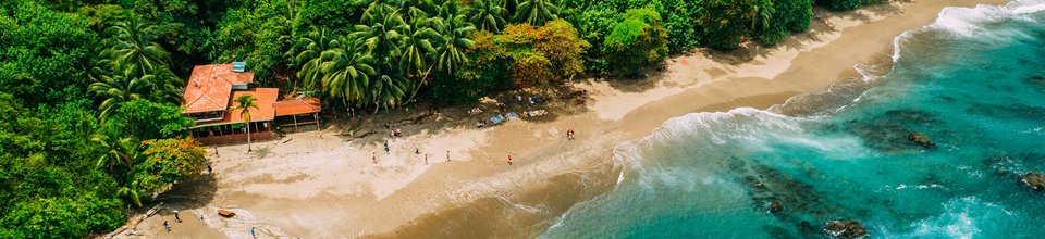 Destino de praia com areal, palmeiras e águas azuis cristalinas.